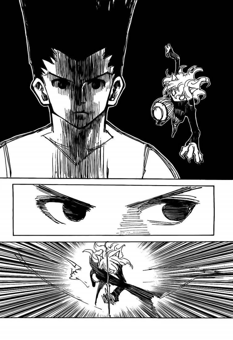 Hunter x Hunter: Chapter 306 - Page 7