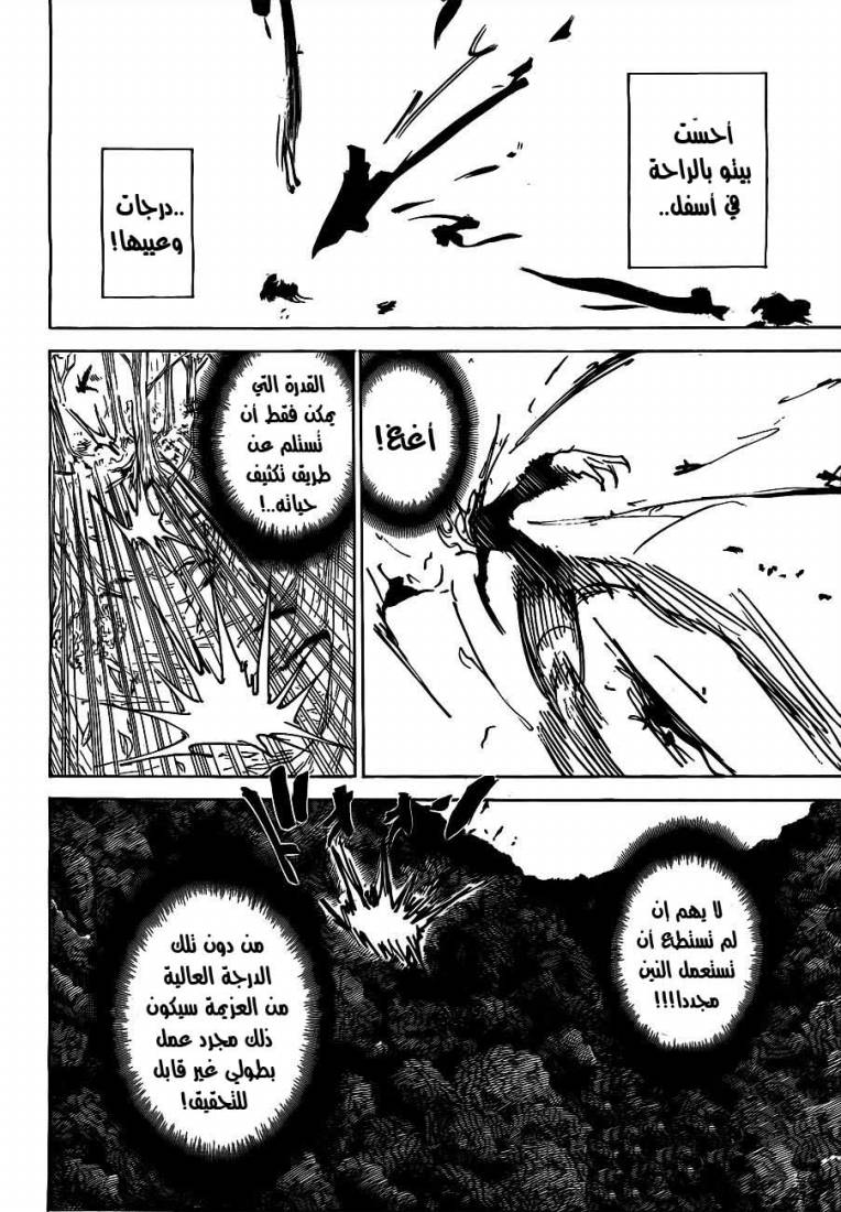 Hunter x Hunter: Chapter 306 - Page 14