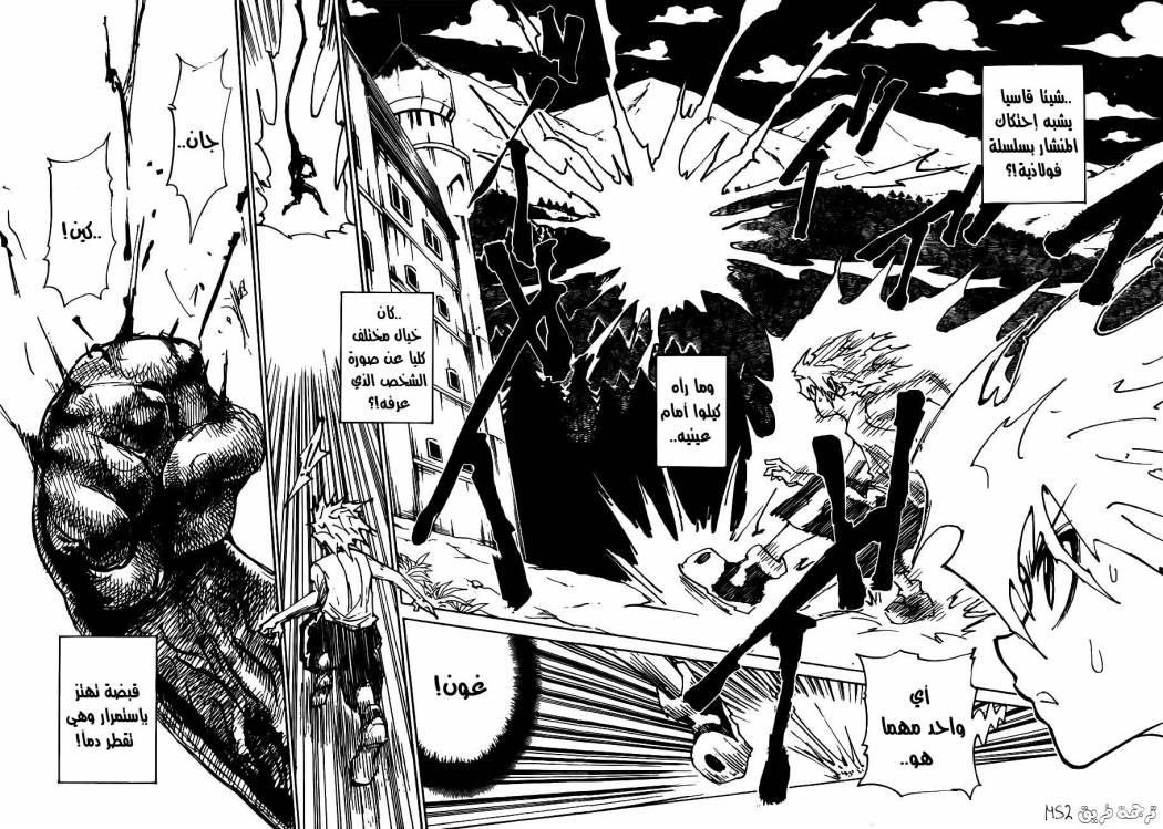 Hunter x Hunter: Chapter 307 - Page 2