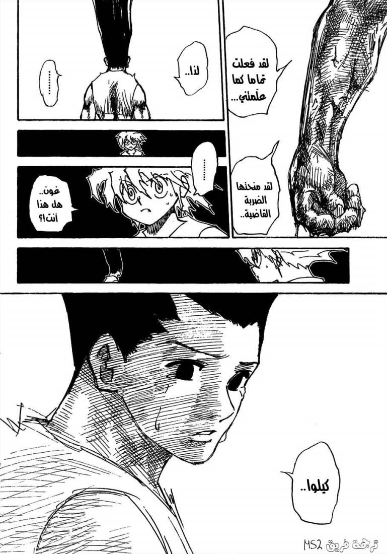 Hunter x Hunter: Chapter 307 - Page 4