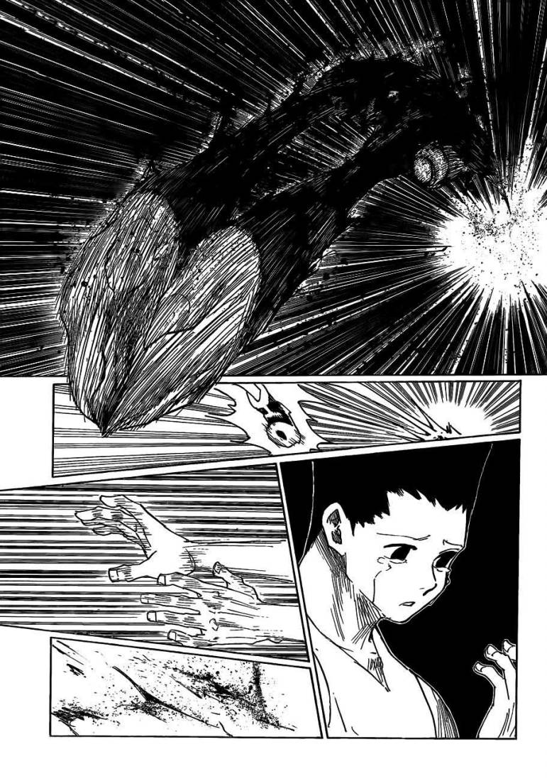 Hunter x Hunter: Chapter 307 - Page 7