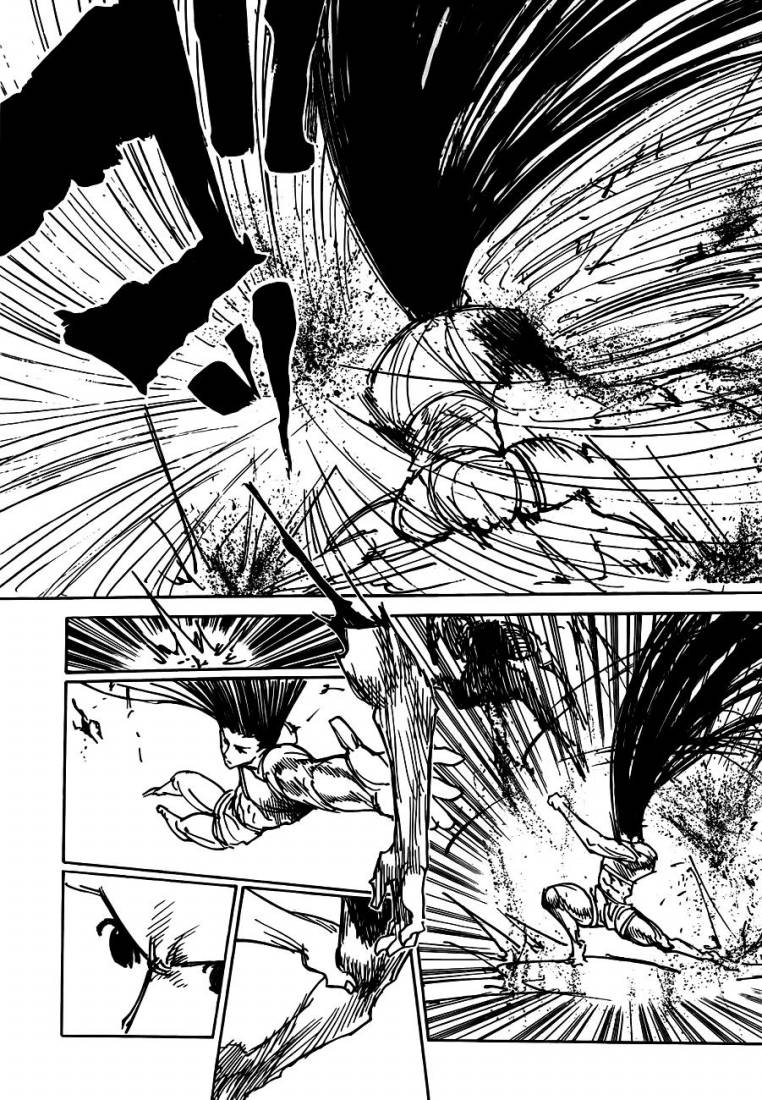 Hunter x Hunter: Chapter 307 - Page 13