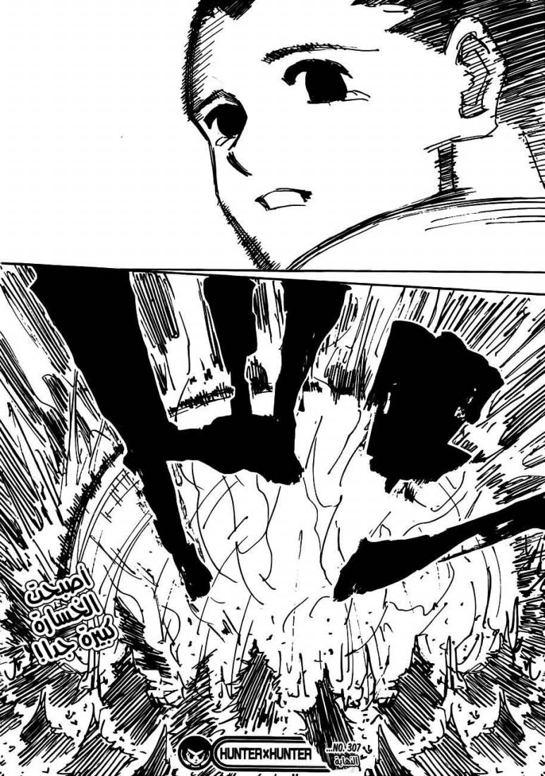 Hunter x Hunter: Chapter 307 - Page 17