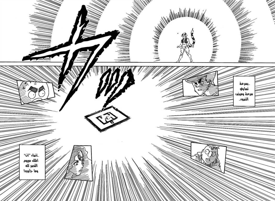 Hunter x Hunter: Chapter 308 - Page 13
