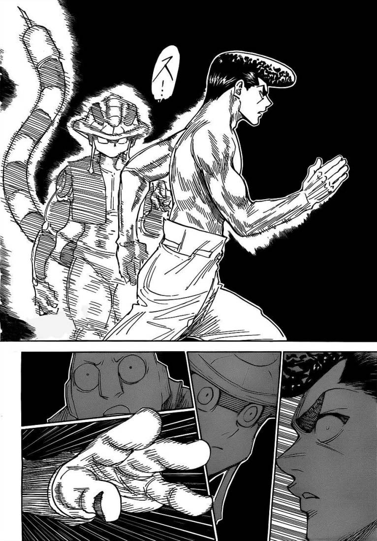 Hunter x Hunter: Chapter 308 - Page 14