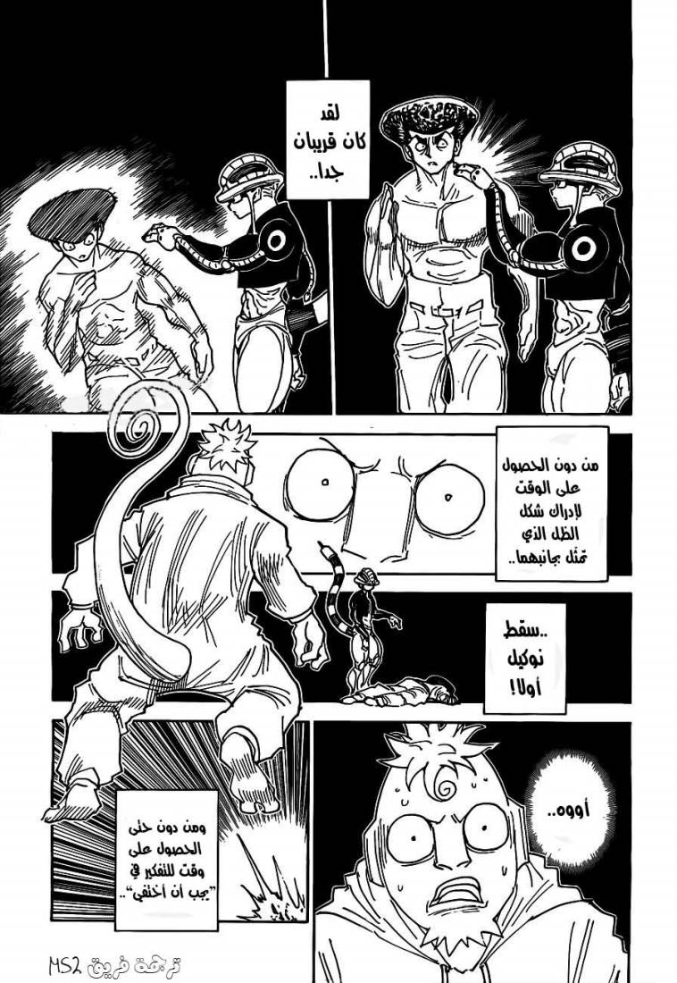 Hunter x Hunter: Chapter 308 - Page 15
