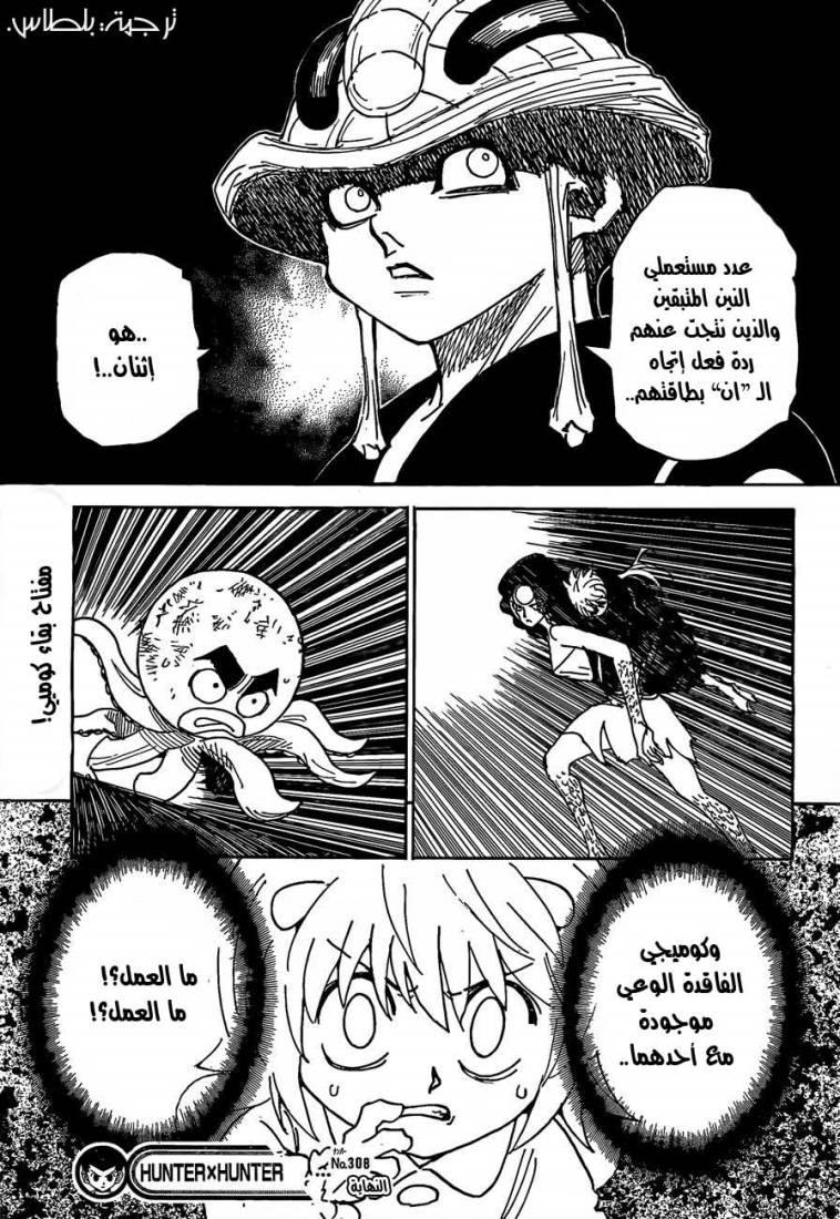 Hunter x Hunter: Chapter 308 - Page 17