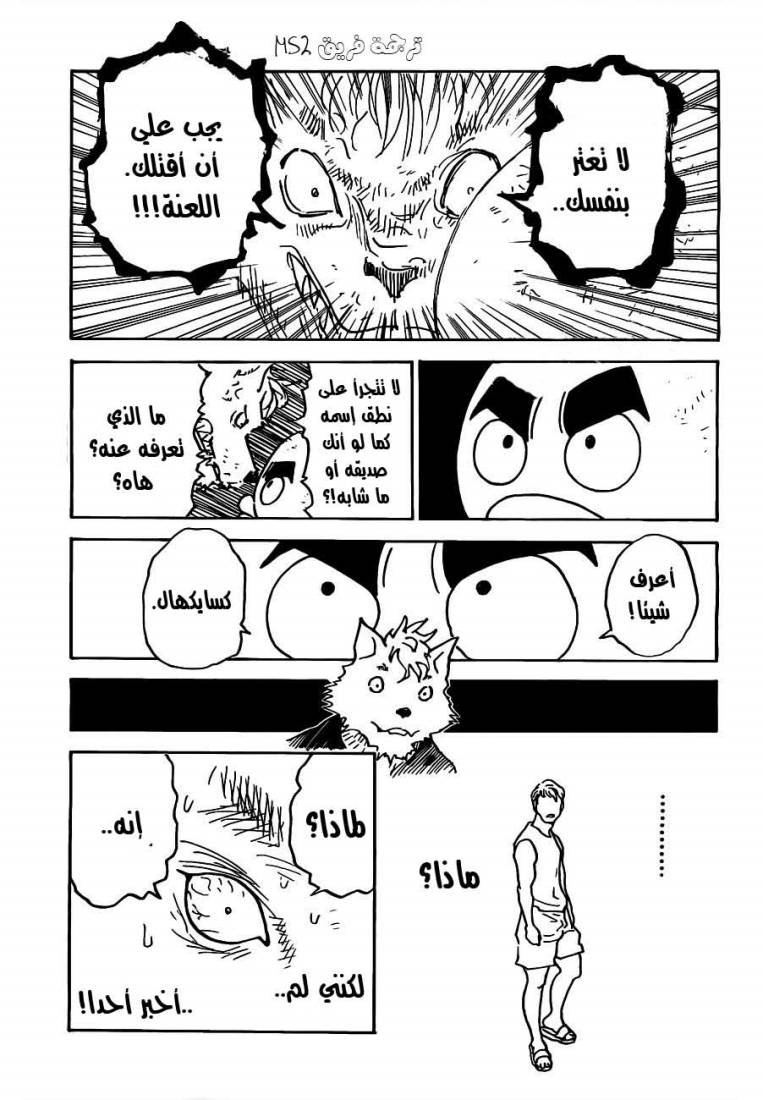 Hunter x Hunter: Chapter 309 - Page 17