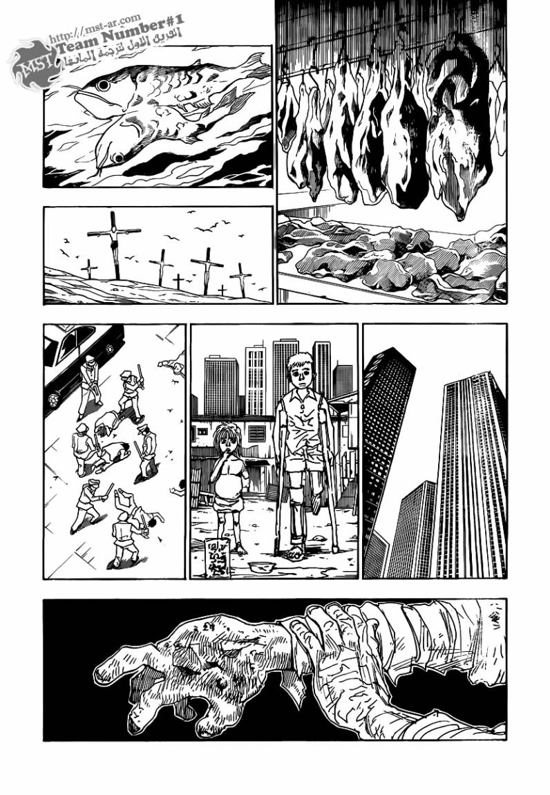 Hunter x Hunter: Chapter 311 - Page 13