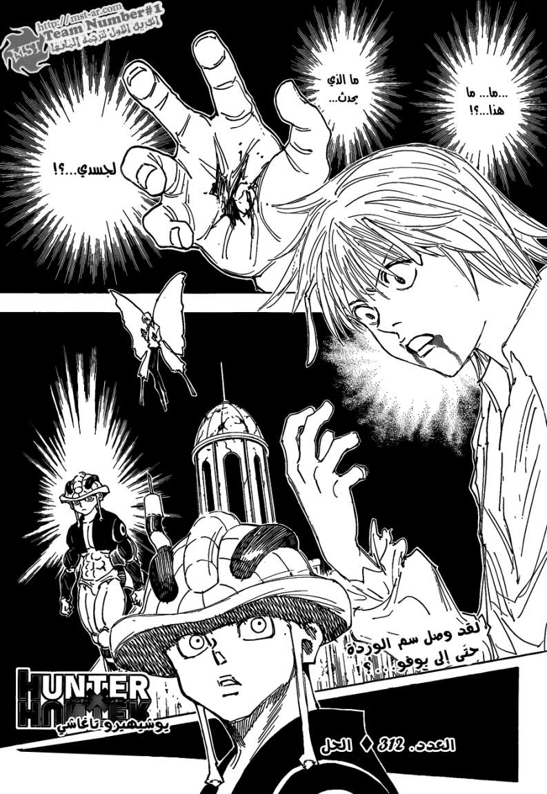 Hunter x Hunter: Chapter 312 - Page 2