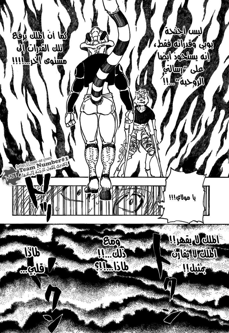 Hunter x Hunter: Chapter 312 - Page 10