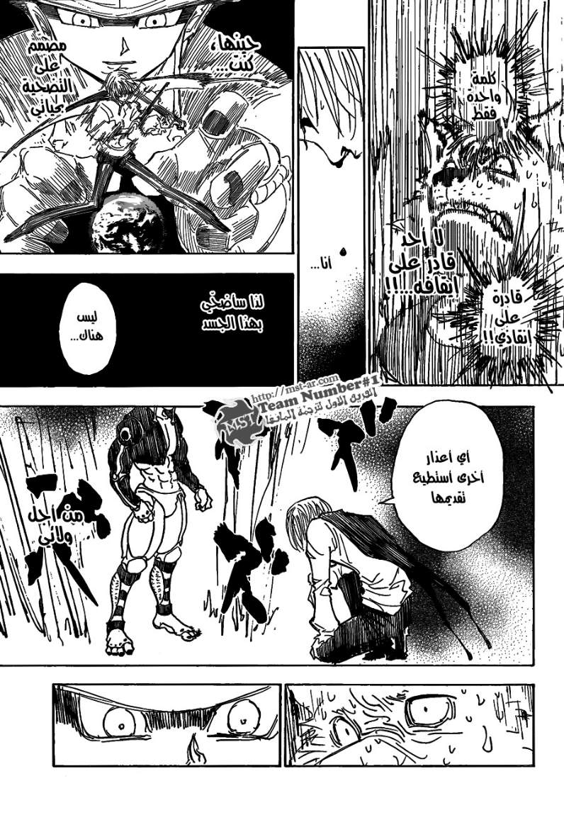 Hunter x Hunter: Chapter 312 - Page 17
