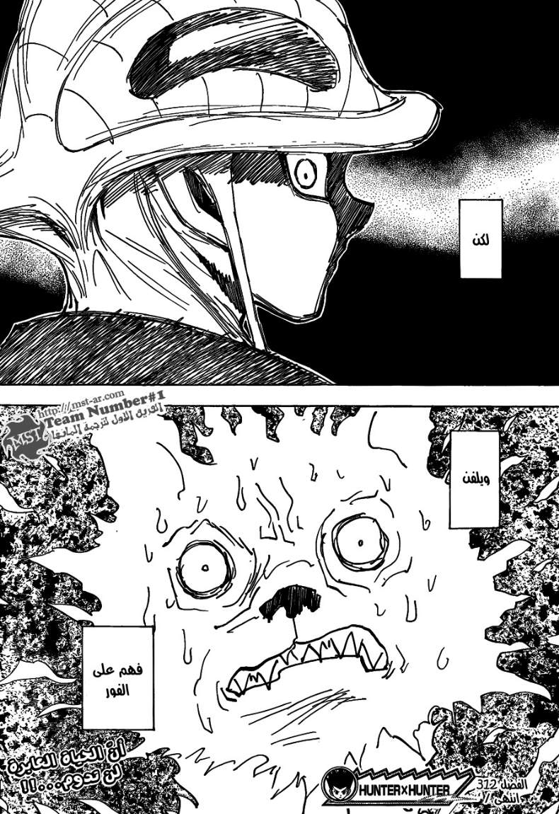 Hunter x Hunter: Chapter 312 - Page 19