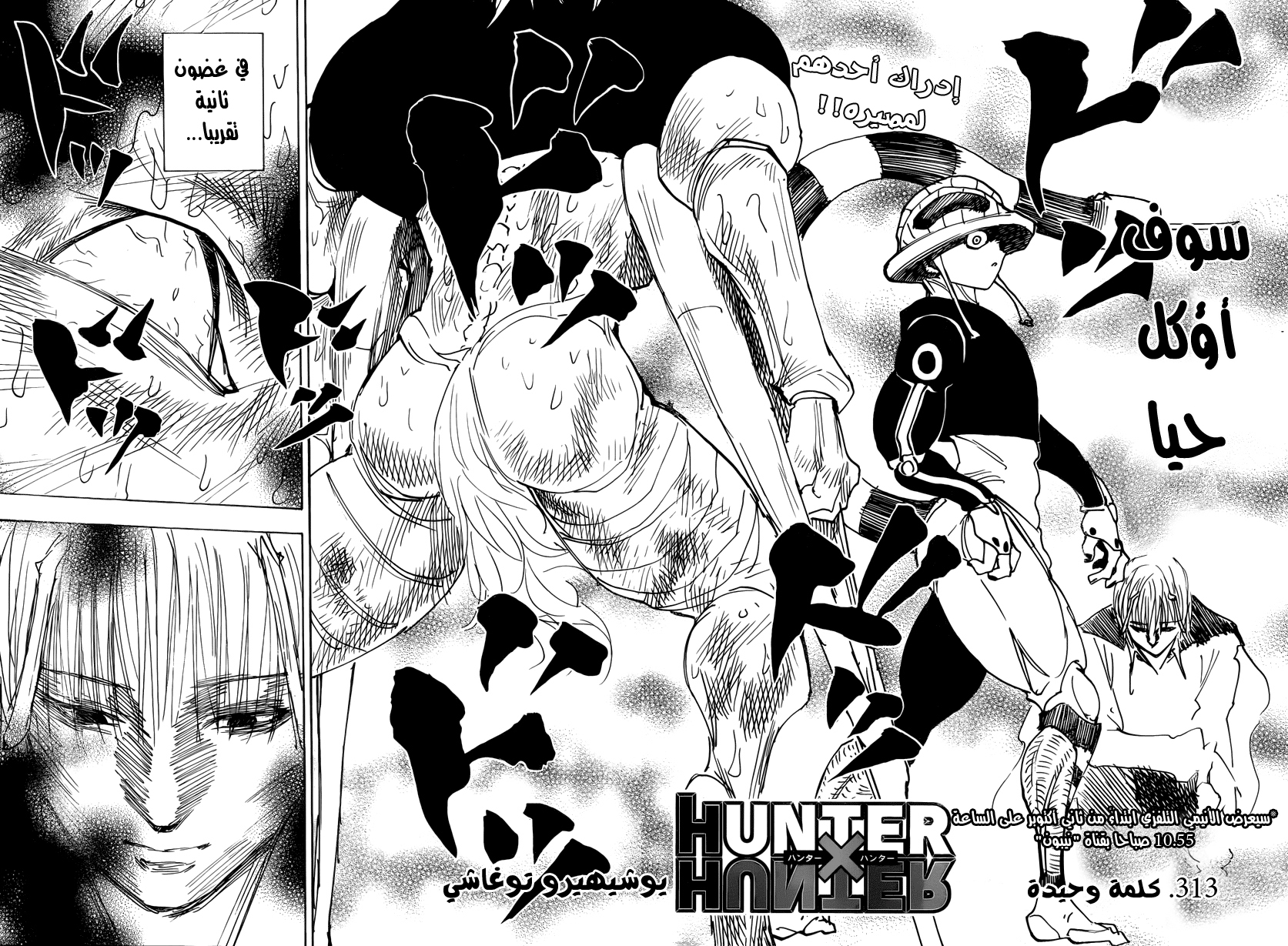 Hunter x Hunter: Chapter 313 - Page 2