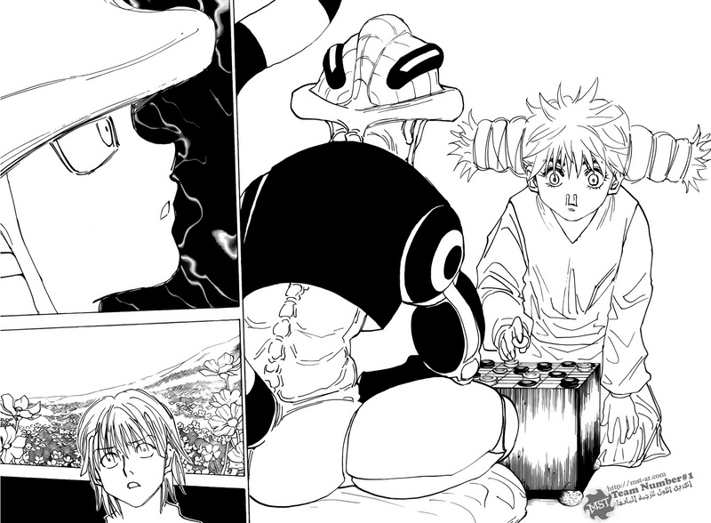 Hunter x Hunter: Chapter 313 - Page 7