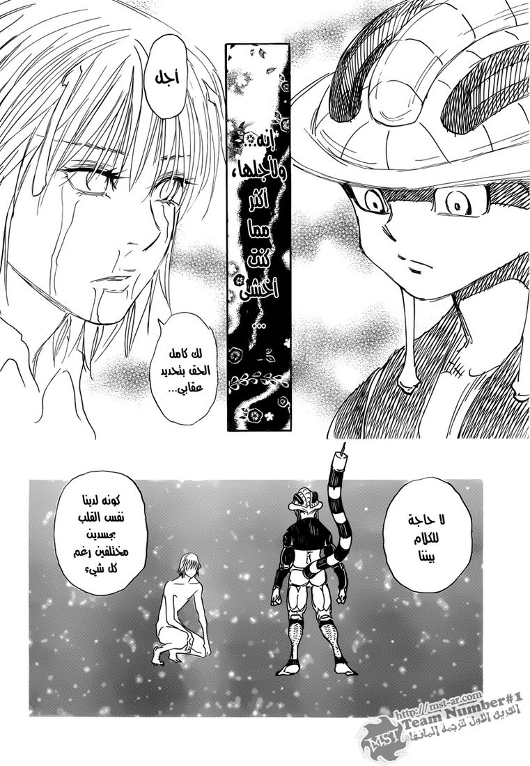 Hunter x Hunter: Chapter 313 - Page 9