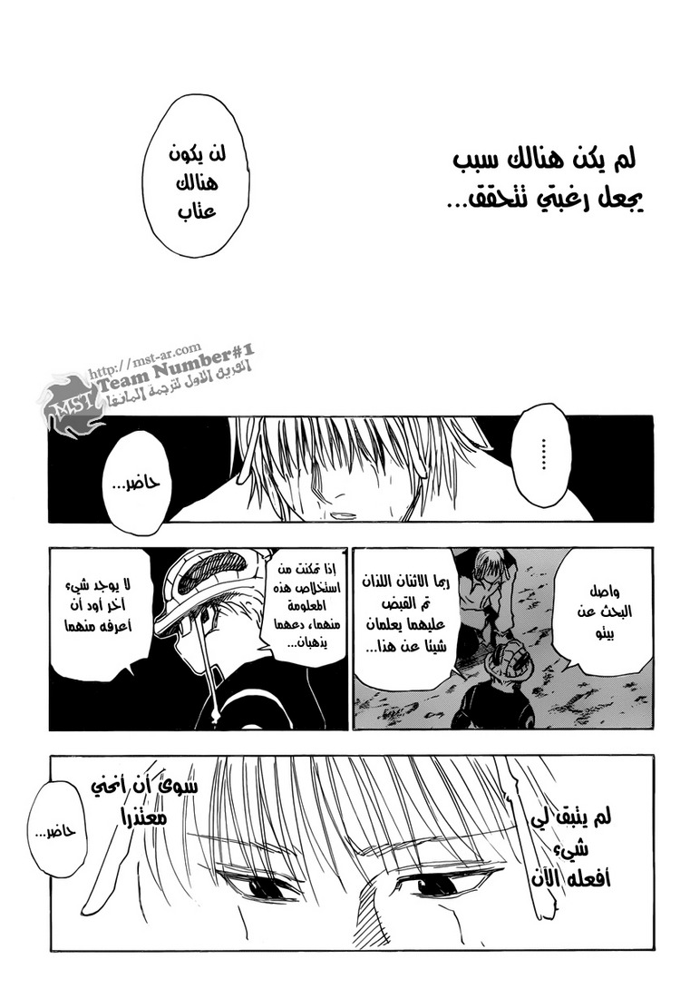 Hunter x Hunter: Chapter 313 - Page 10