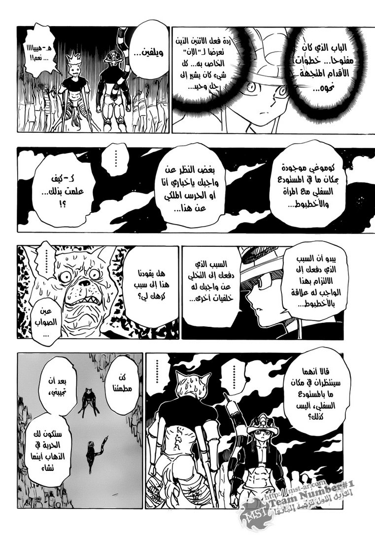 Hunter x Hunter: Chapter 313 - Page 11