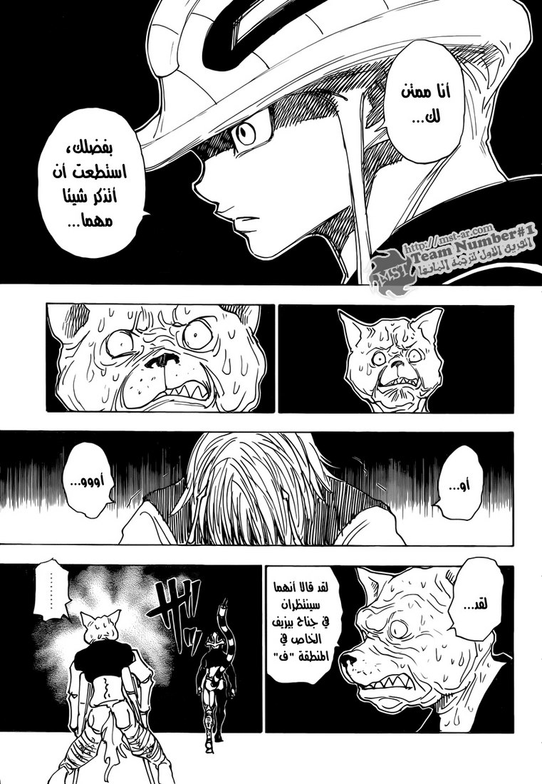 Hunter x Hunter: Chapter 313 - Page 12