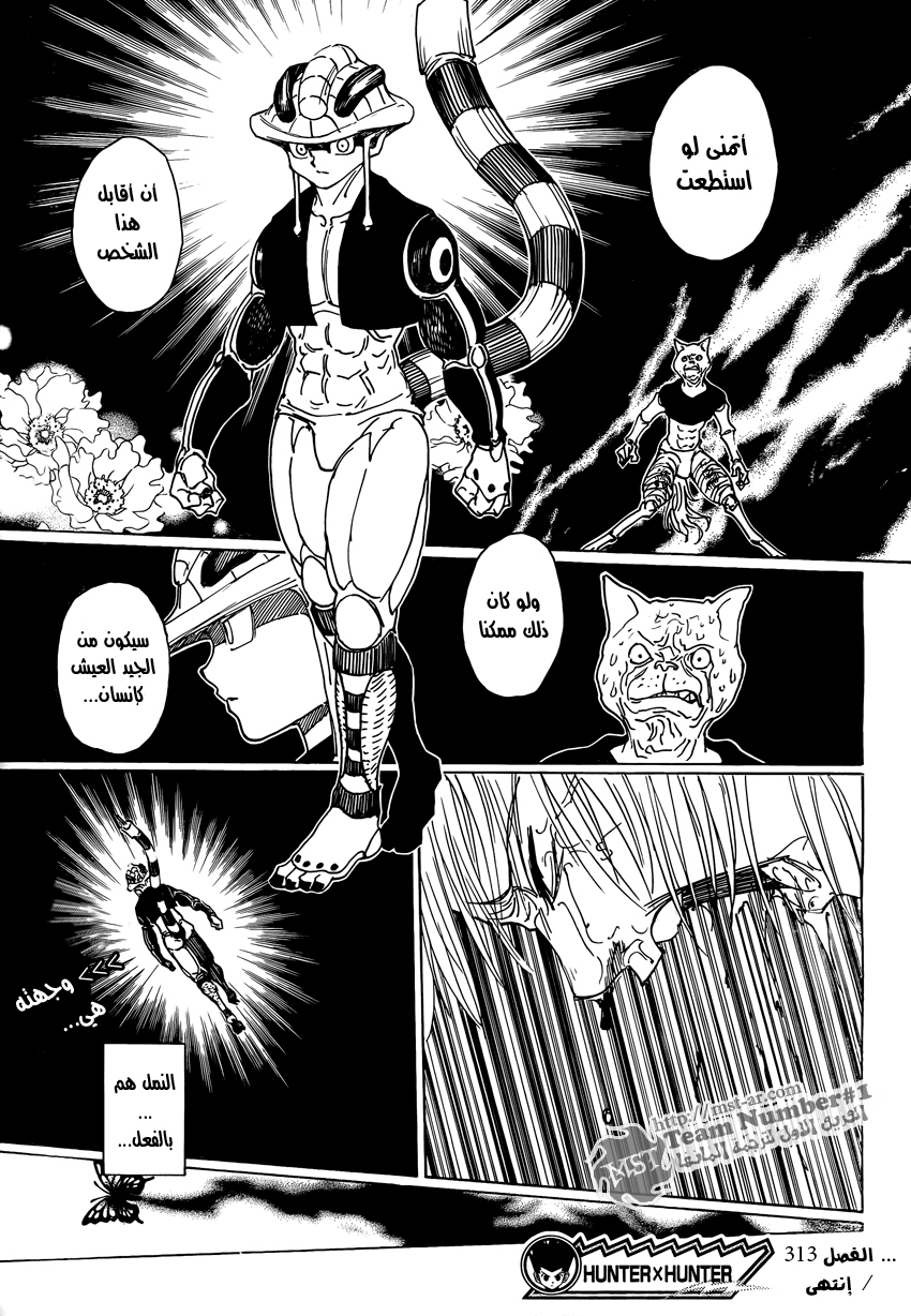 Hunter x Hunter: Chapter 313 - Page 14