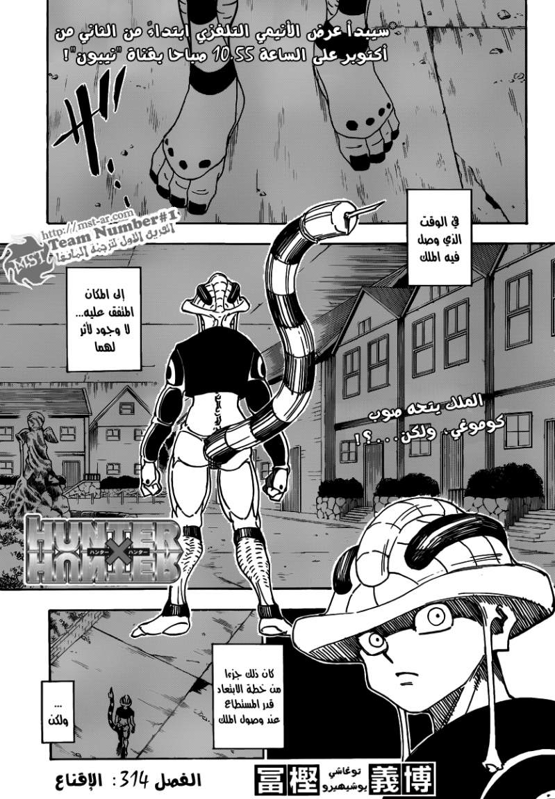 Hunter x Hunter: Chapter 314 - Page 2