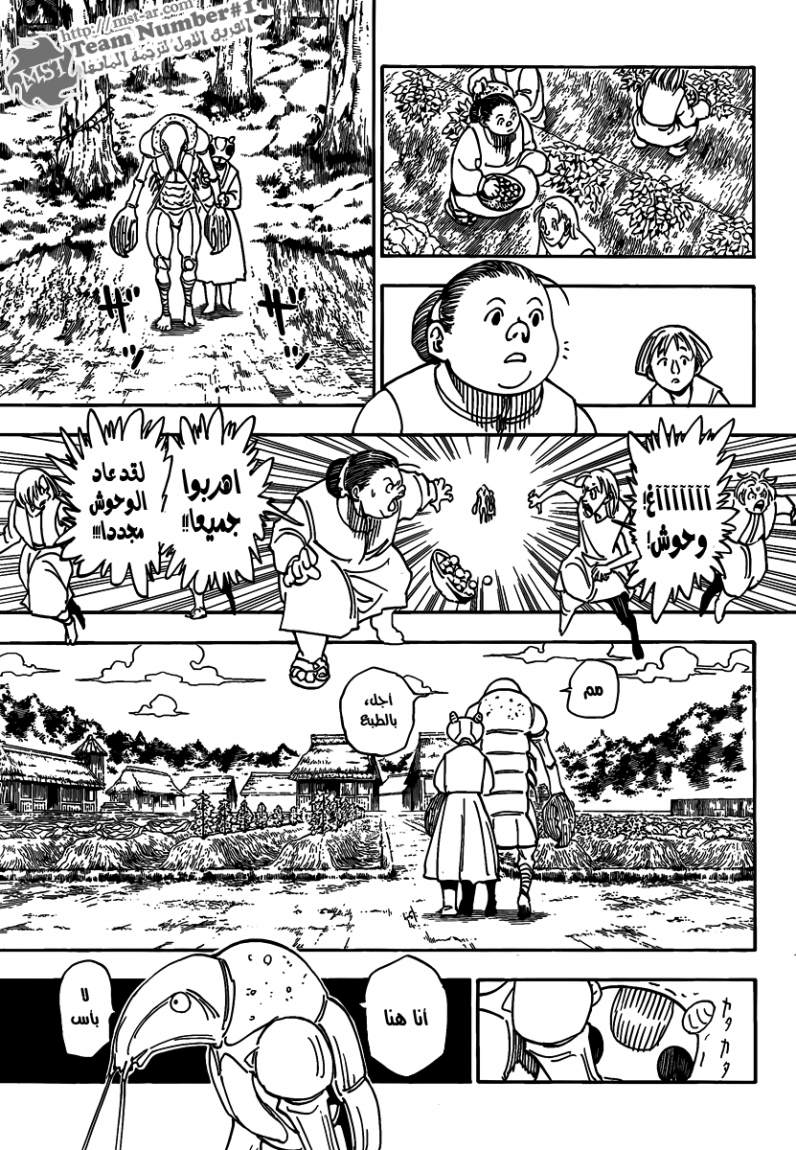 Hunter x Hunter: Chapter 315 - Page 8