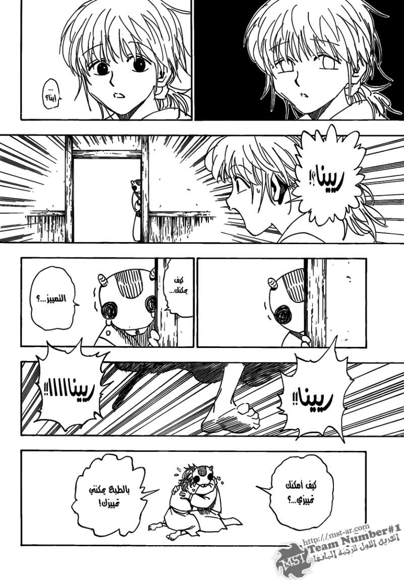 Hunter x Hunter: Chapter 315 - Page 11