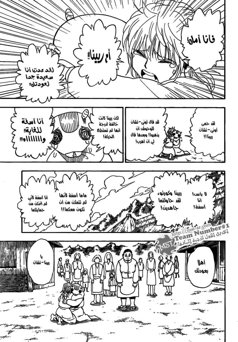 Hunter x Hunter: Chapter 315 - Page 12