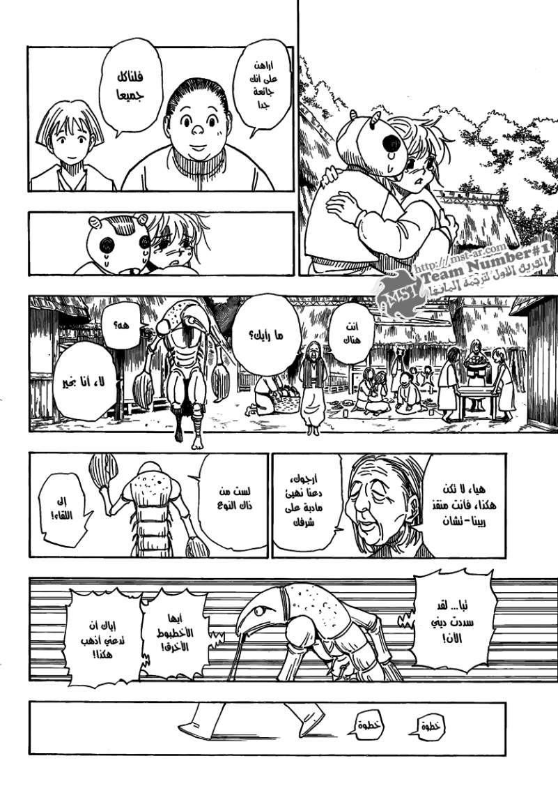 Hunter x Hunter: Chapter 315 - Page 13