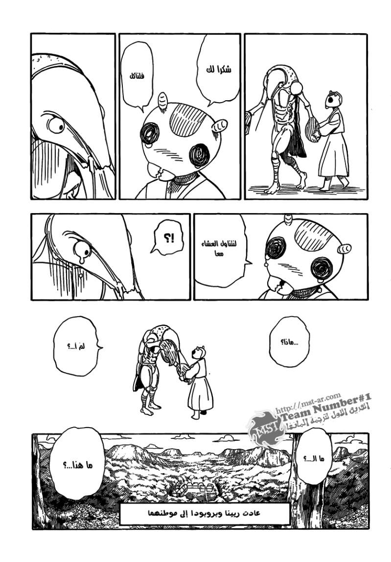 Hunter x Hunter: Chapter 315 - Page 14