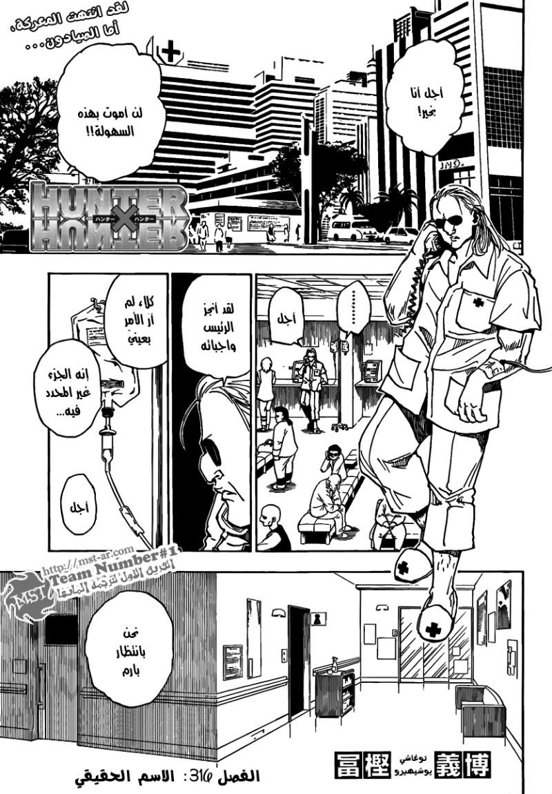 Hunter x Hunter: Chapter 316 - Page 2