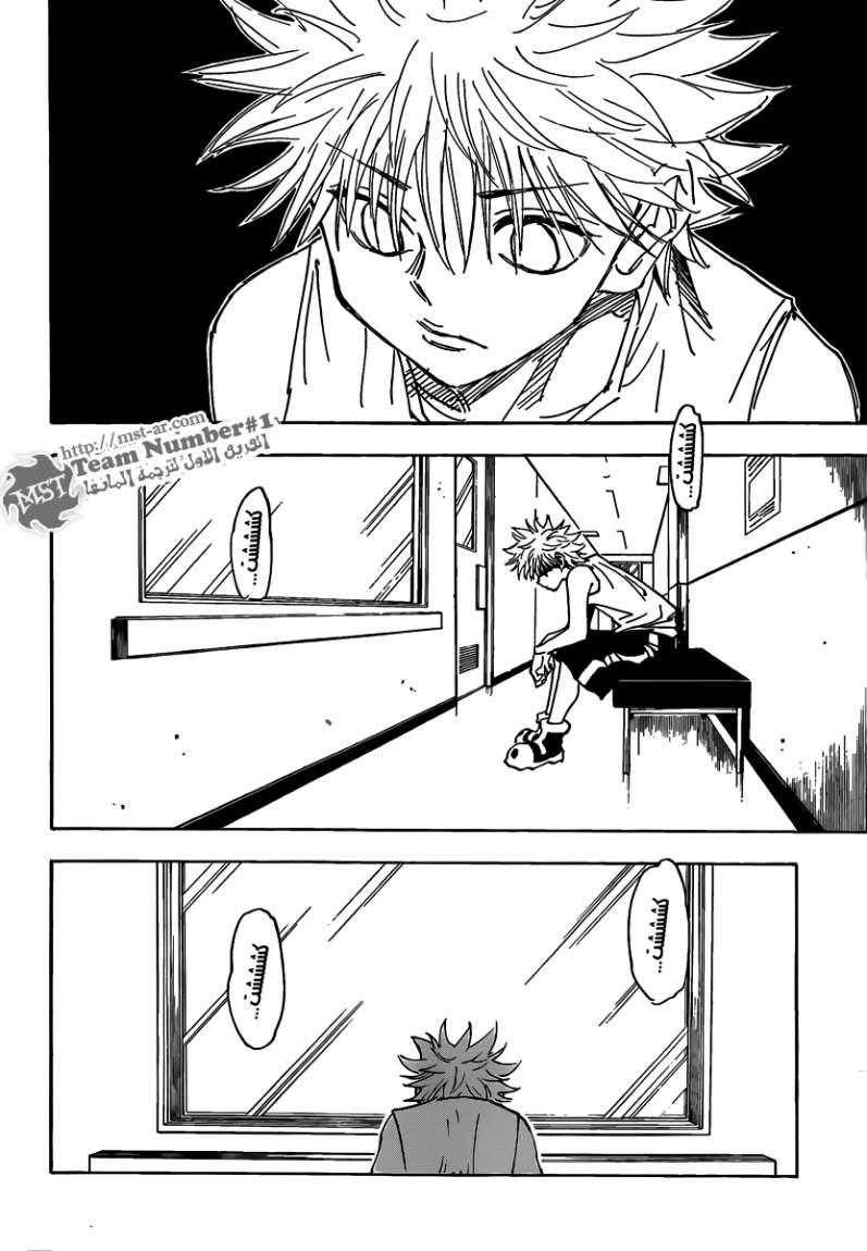 Hunter x Hunter: Chapter 316 - Page 9