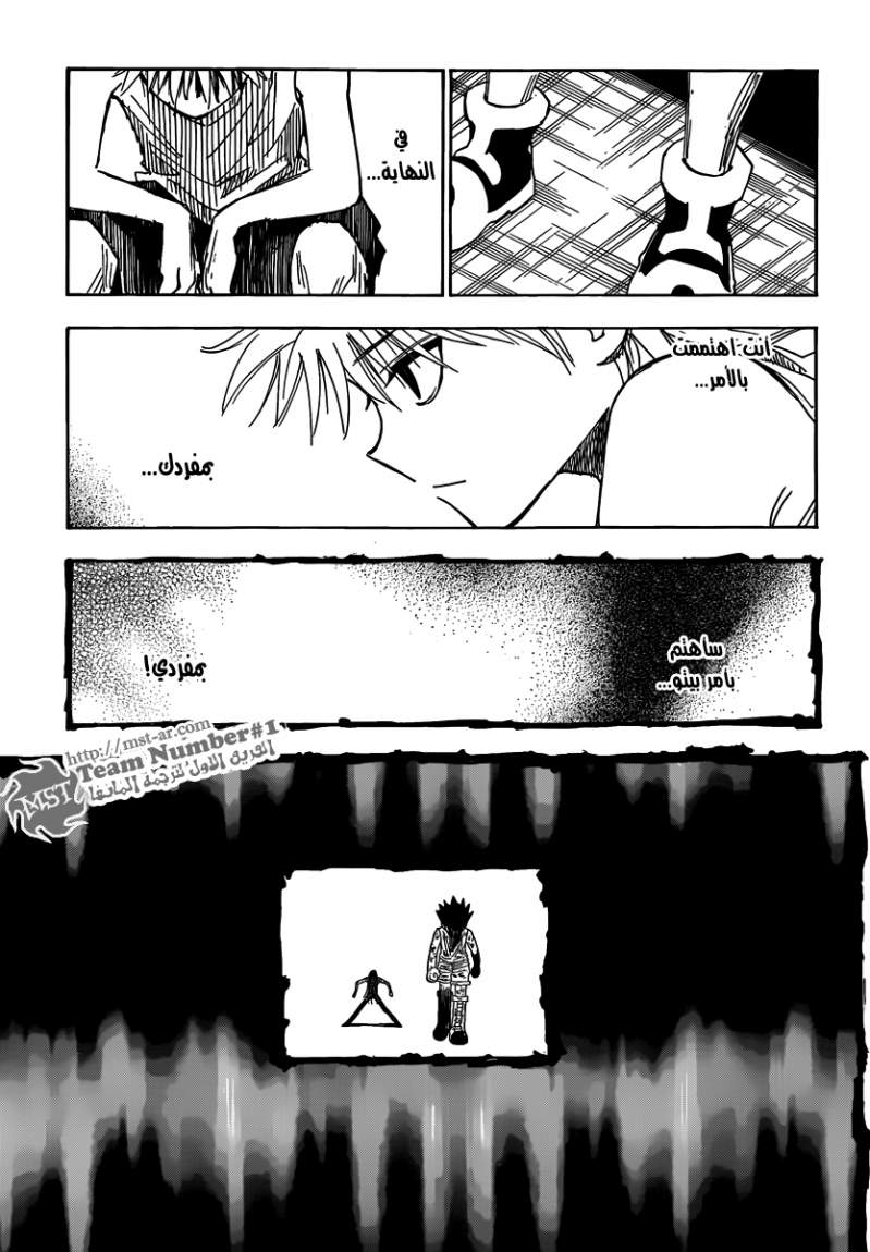 Hunter x Hunter: Chapter 316 - Page 10