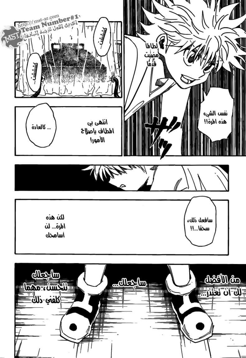 Hunter x Hunter: Chapter 316 - Page 13