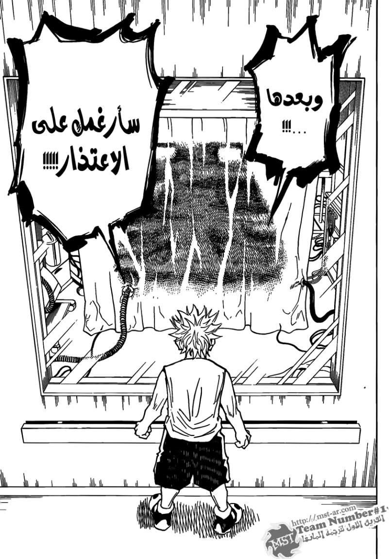 Hunter x Hunter: Chapter 316 - Page 14