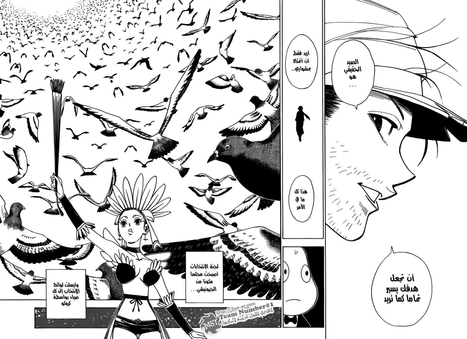 Hunter x Hunter: Chapter 320 - Page 9