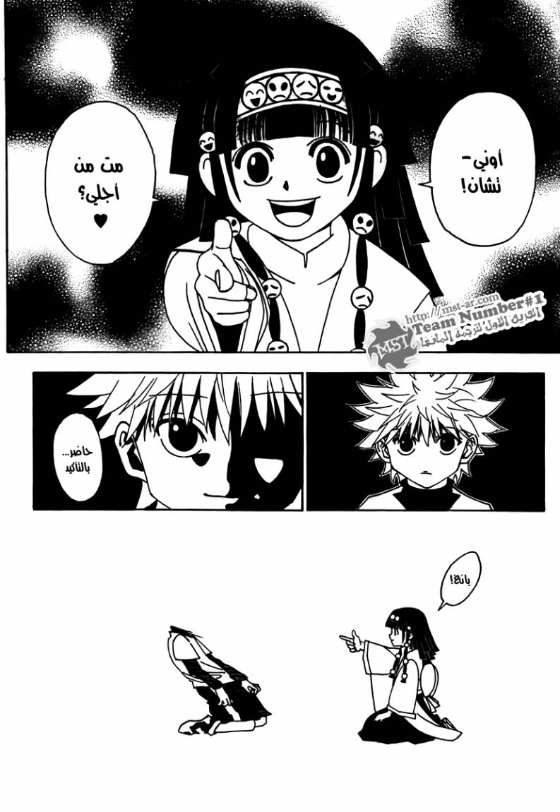 Hunter x Hunter: Chapter 323 - Page 13