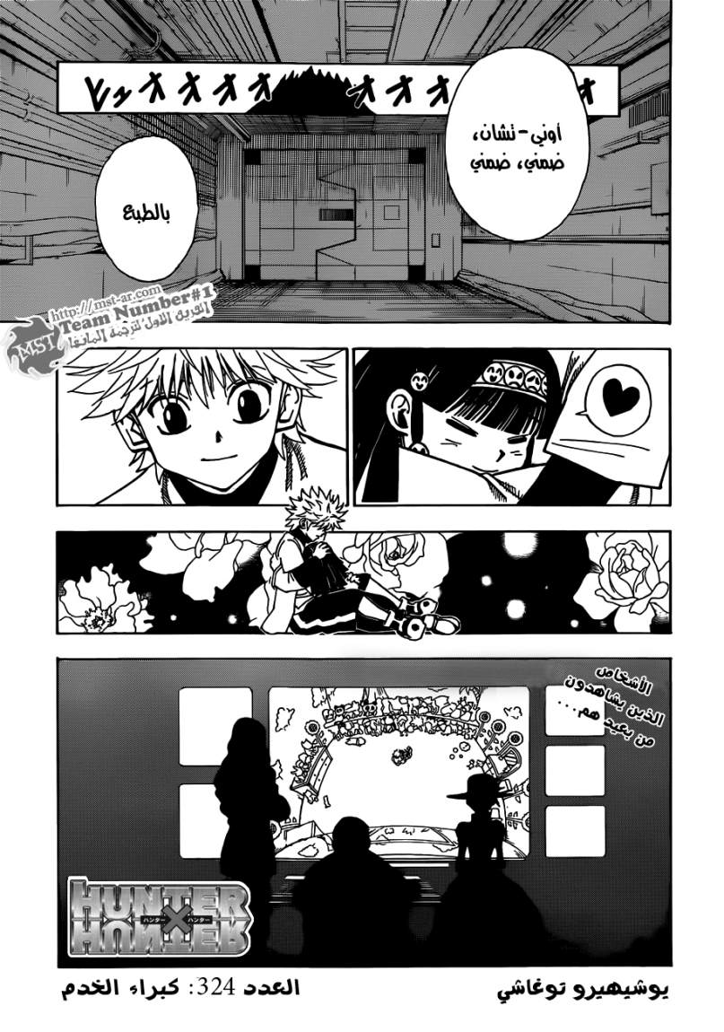 Hunter x Hunter: Chapter 324 - Page 2