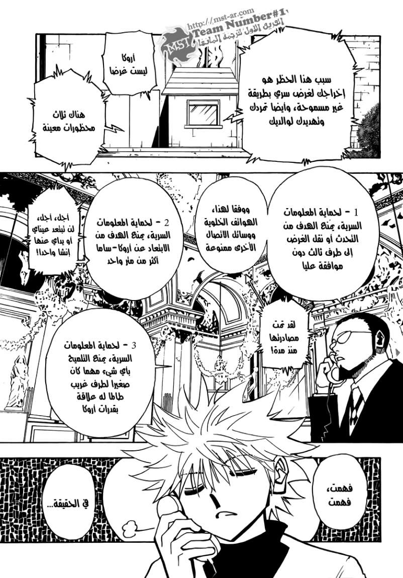 Hunter x Hunter: Chapter 324 - Page 14