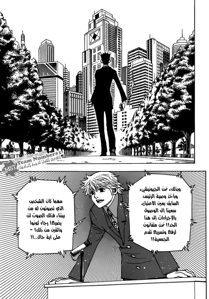 Hunter x Hunter: Chapter 325 - Page 12