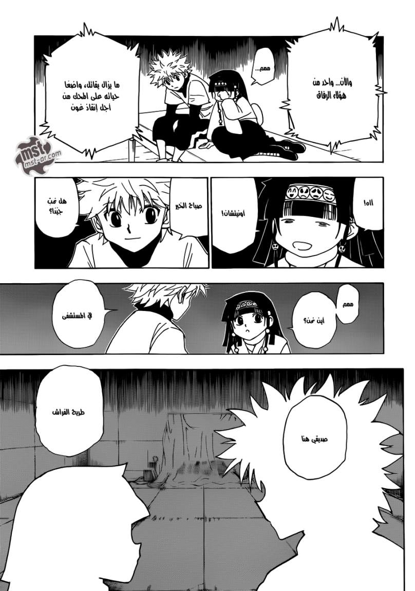 Hunter x Hunter: Chapter 332 - Page 11