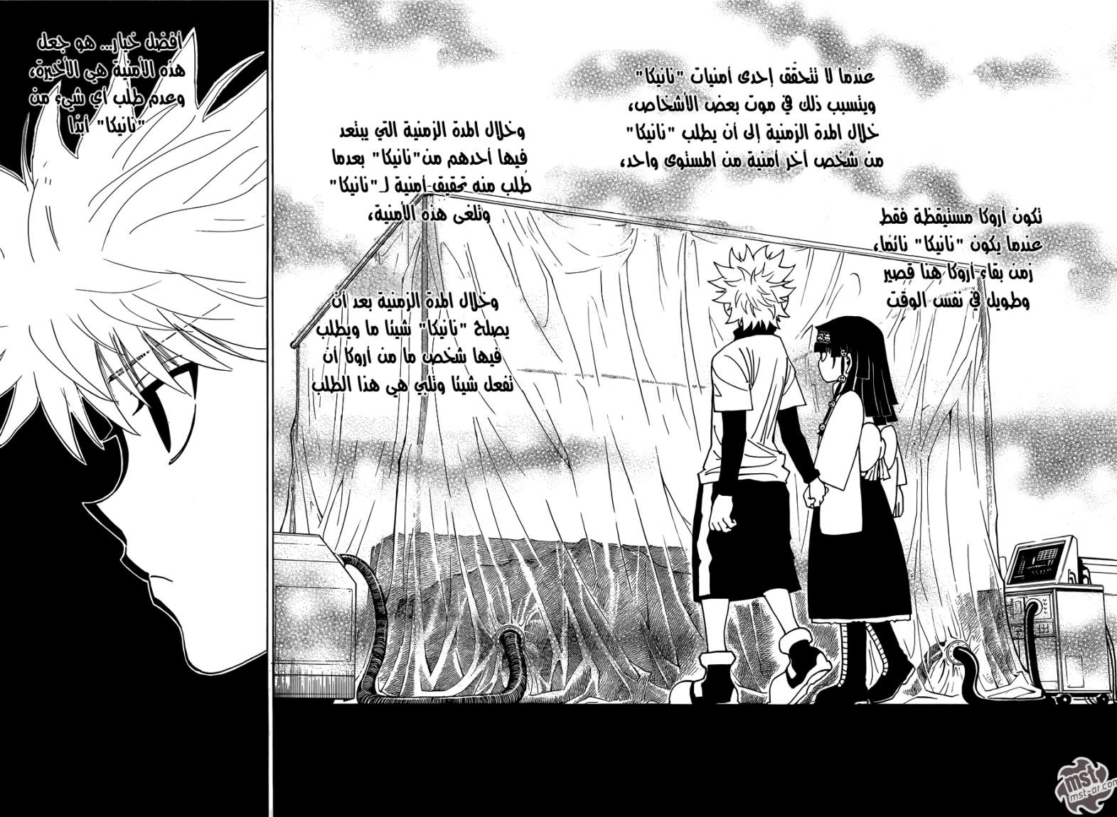 Hunter x Hunter: Chapter 332 - Page 14