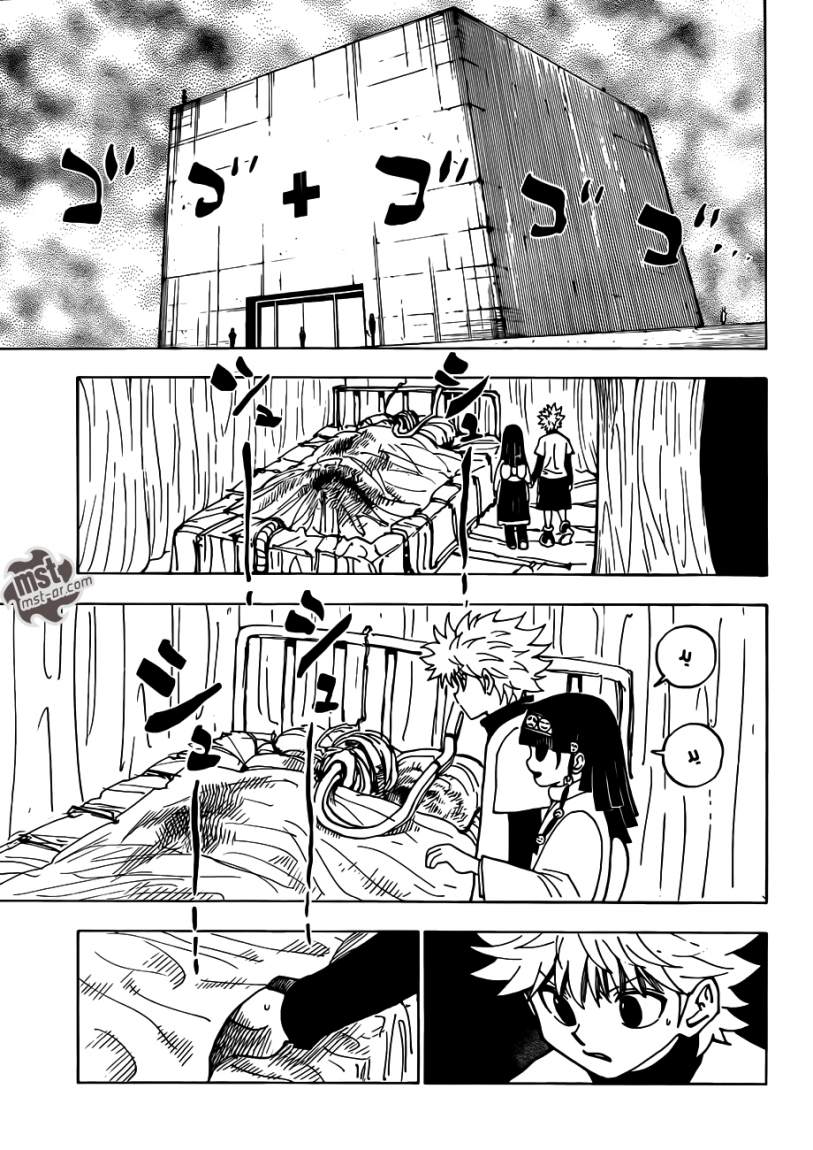 Hunter x Hunter: Chapter 333 - Page 11
