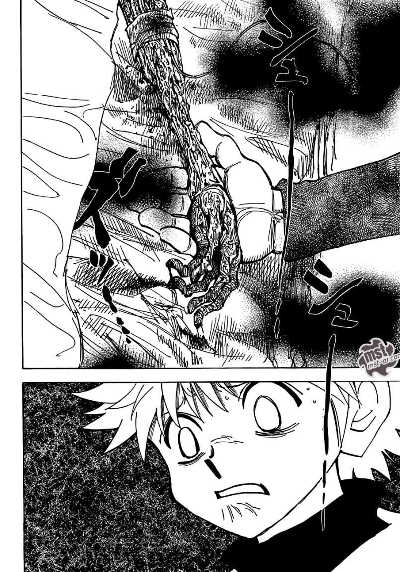 Hunter x Hunter: Chapter 333 - Page 12