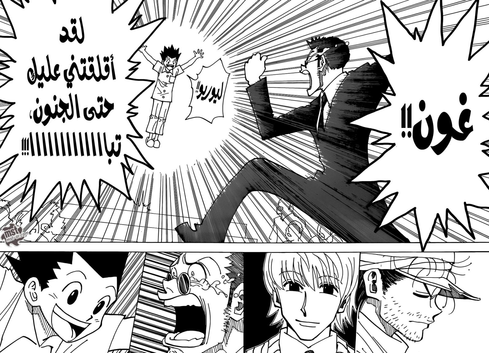 Hunter x Hunter: Chapter 334 - Page 12