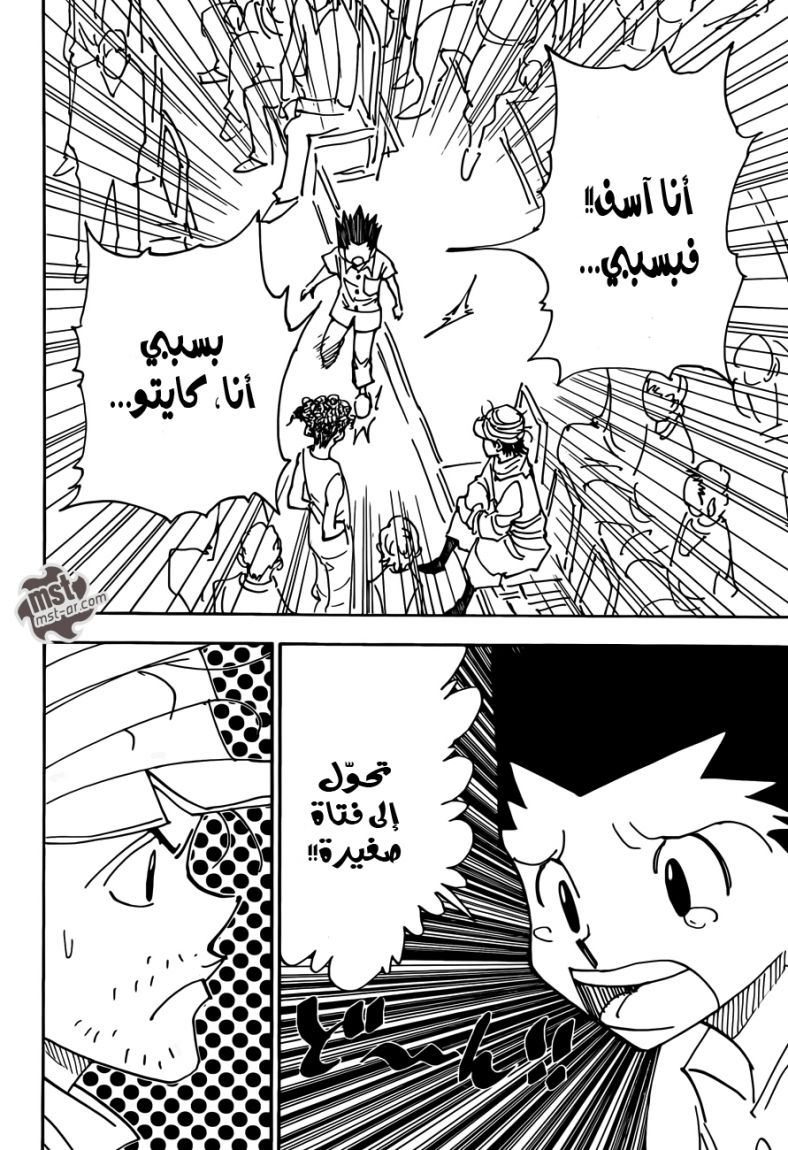 Hunter x Hunter: Chapter 335 - Page 3