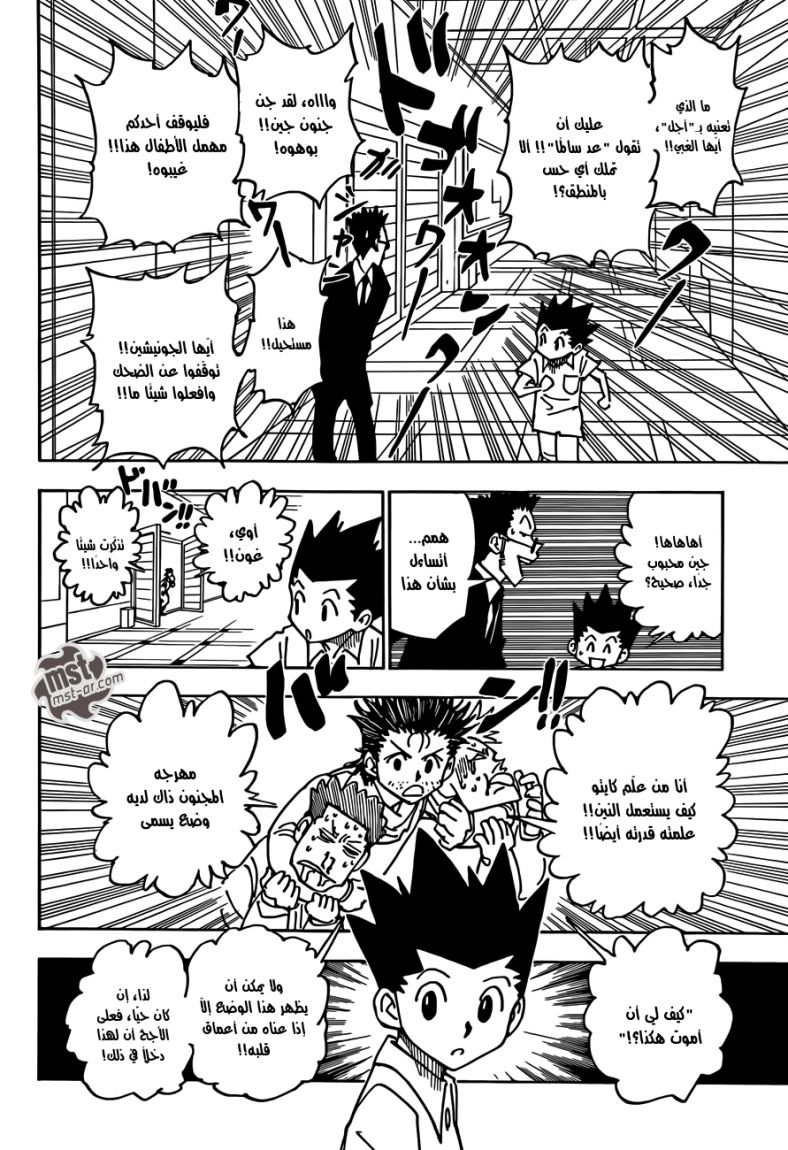 Hunter x Hunter: Chapter 335 - Page 13