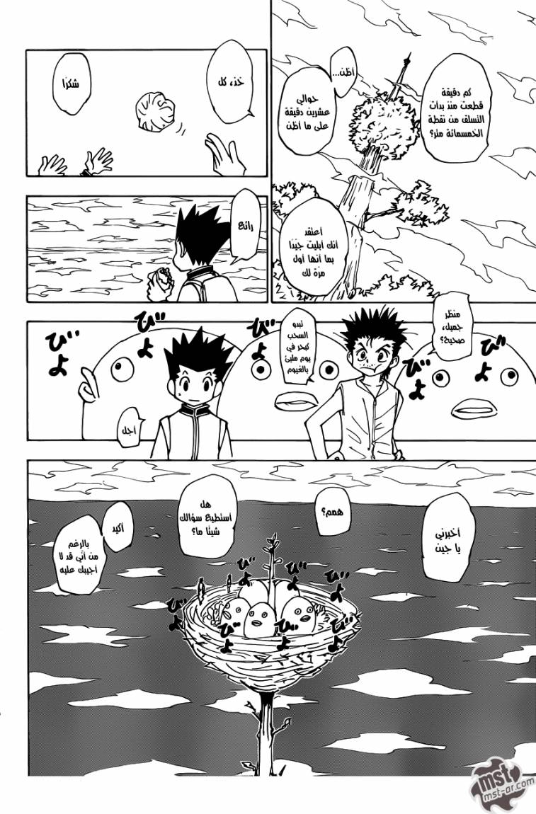 Hunter x Hunter: Chapter 338 - Page 12