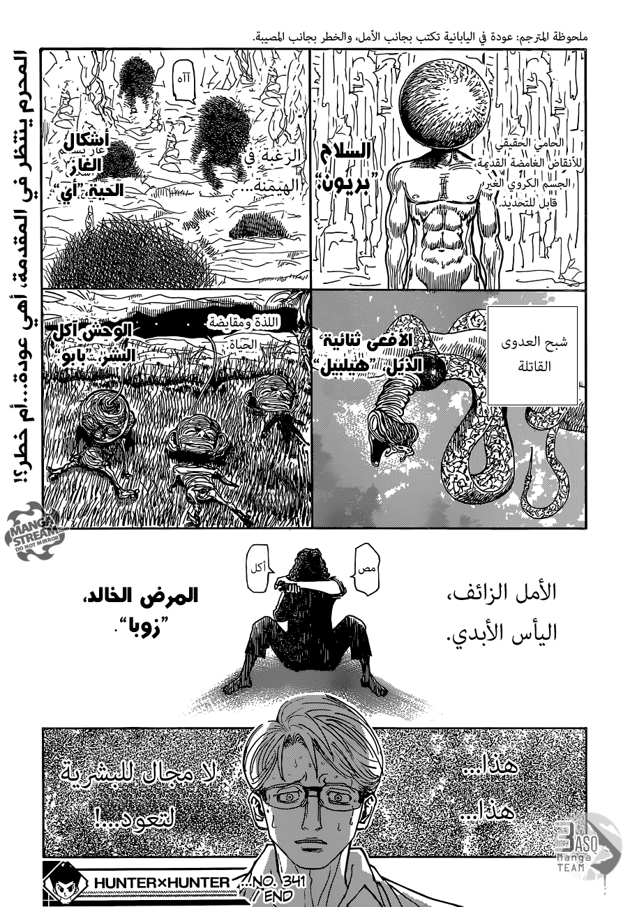 Hunter x Hunter: Chapter 341 - Page 19