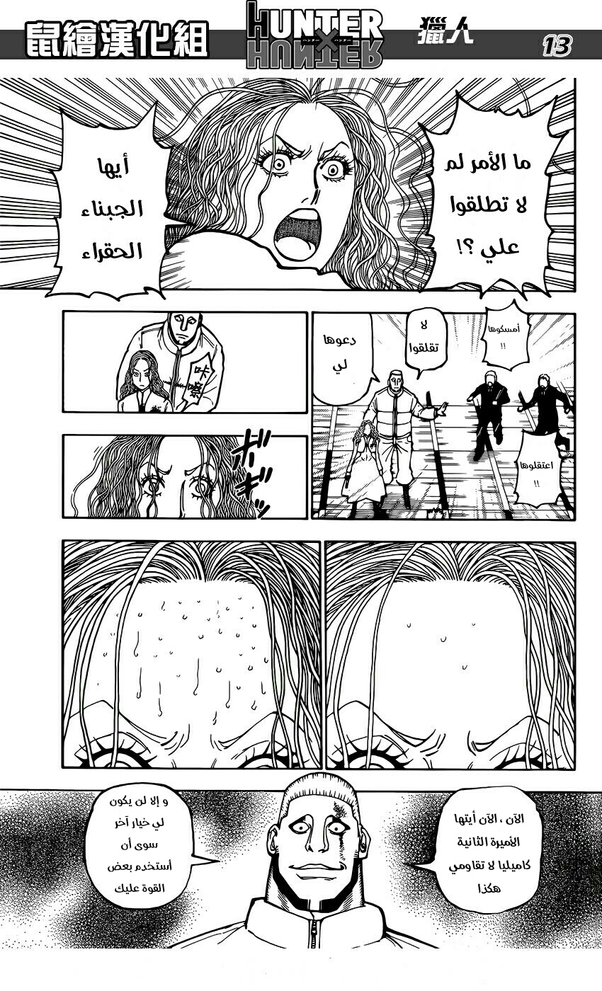 Hunter x Hunter: Chapter 373 - Page 13